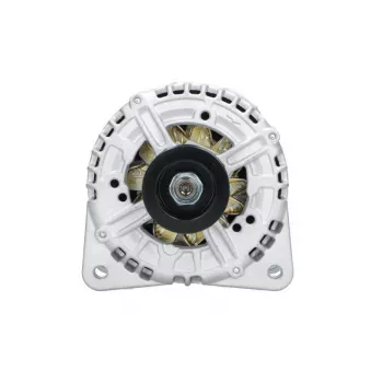 Alternateur BV PSH 205.517.180.010