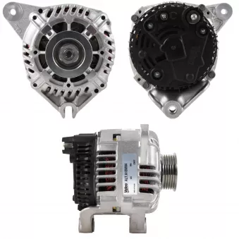 Alternateur BV PSH 225.517.080.505