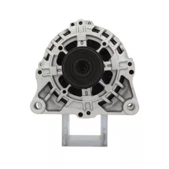 Alternateur BV PSH 225.528.090.505