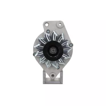 Alternateur BV PSH 305.023.045.010