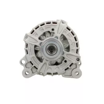 Alternateur BV PSH 305.302.150.010