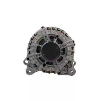 Alternateur BV PSH 305.317.180.500