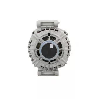 Alternateur BV PSH 305.339.180.500