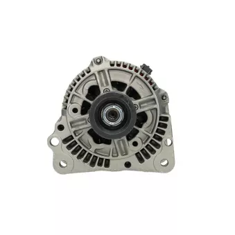 Alternateur BV PSH 305.502.090.215