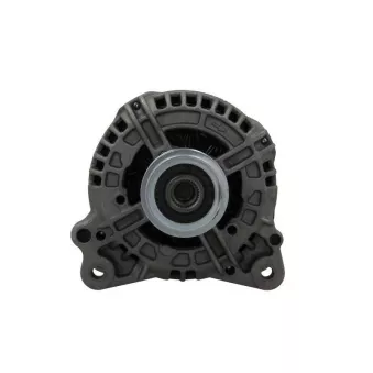 Alternateur BV PSH 305.518.120.215