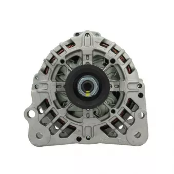 Alternateur BV PSH 305.560.070.505