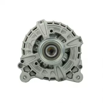 Alternateur BV PSH 305.570.180.216