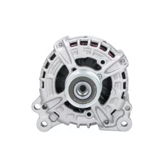 Alternateur BV PSH 305.925.140.346