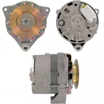 Alternateur BV PSH 445.002.055.350