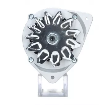Alternateur BV PSH 485.001.090.010