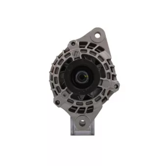 Alternateur BV PSH 495.501.100.265