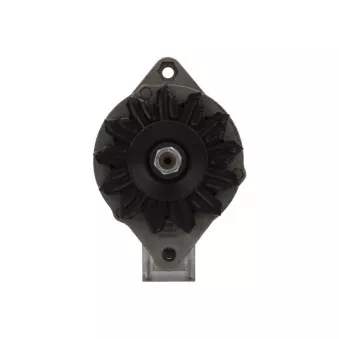 Alternateur BV PSH 505.052.055.265