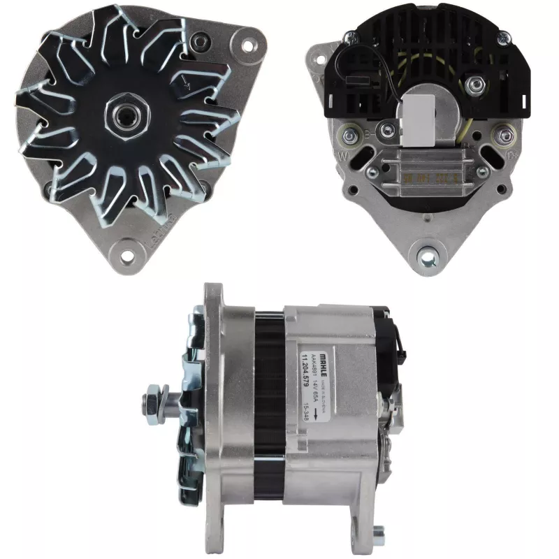 Alternateur BV PSH 545.007.065.312
