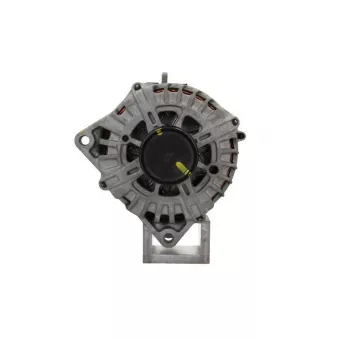 Alternateur BV PSH 555.306.200.500