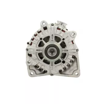 Alternateur BV PSH 555.311.200.500