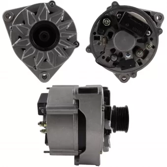Alternateur BV PSH 556.038.055.010