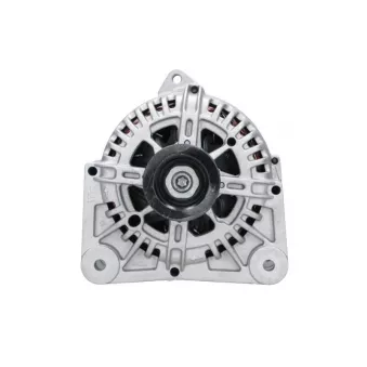 Alternateur BV PSH 575.549.110.346