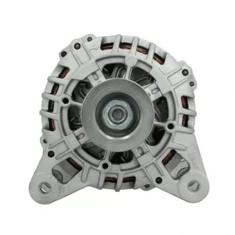 Alternateur BV PSH 575.596.090.505