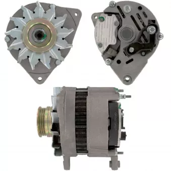 Alternateur BV PSH 595.012.070.100
