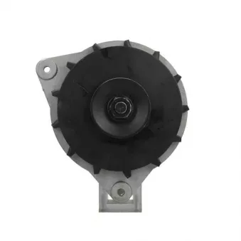Alternateur BV PSH 595.023.070.325