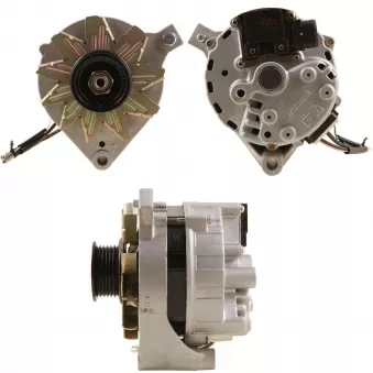 Alternateur BV PSH 595.053.080.020