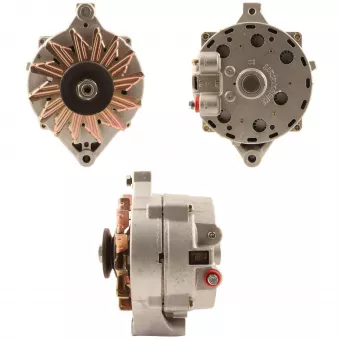 Alternateur BV PSH 595.054.100.020
