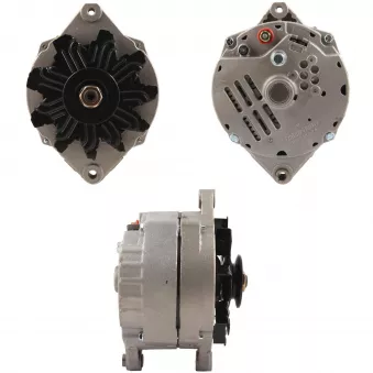 Alternateur BV PSH 835.017.080.030