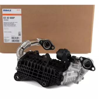 Radiateur, réaspiration des gaz d'échappement MAHLE CE 43 000P