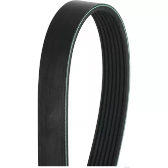 Courroie trapézoïdale à nervures HERTH+BUSS JAKOPARTS