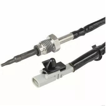 Capteur, température des gaz HERTH+BUSS JAKOPARTS J5950301