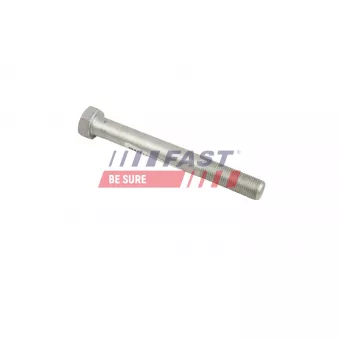 Vis, bras transversal FAST FT11895