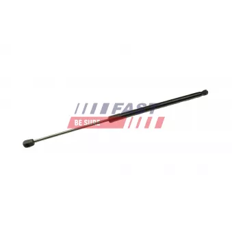 Vérin de hayon, de coffre FAST FT94808