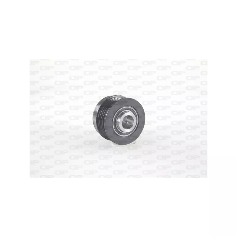 Poulie roue libre, alternateur OPEN PARTS ACA3065.00