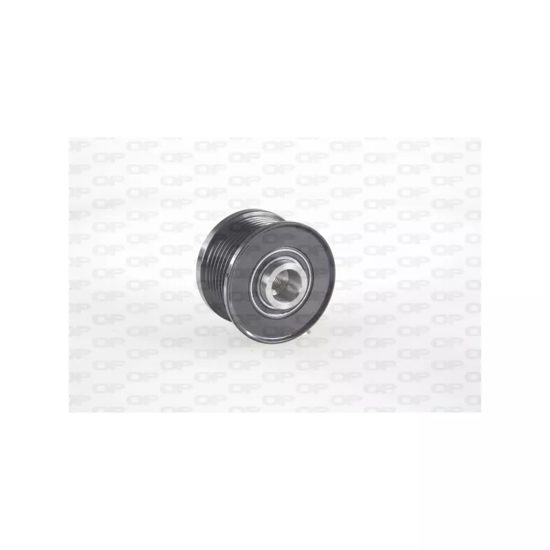 Poulie roue libre, alternateur OPEN PARTS ACA3066.00