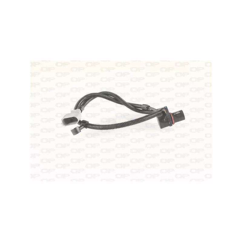 Capteur d'angle, vilebrequin OPEN PARTS CKP1058.00