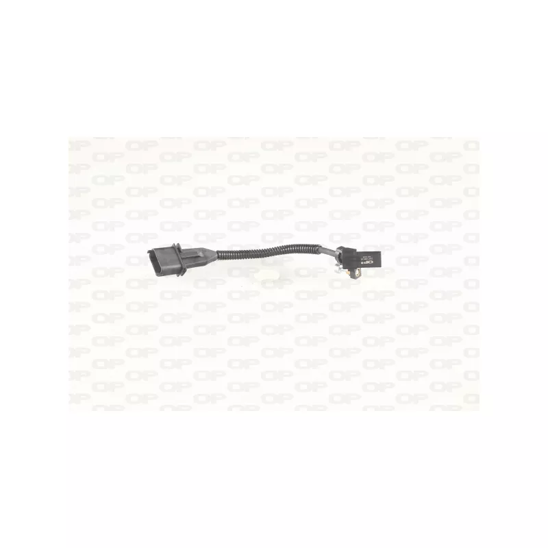 Capteur d'angle, vilebrequin OPEN PARTS CKP1069.00