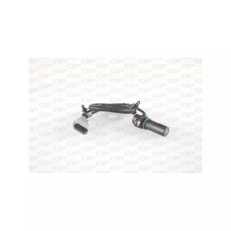 Capteur d'angle, vilebrequin OPEN PARTS CKP1076.00