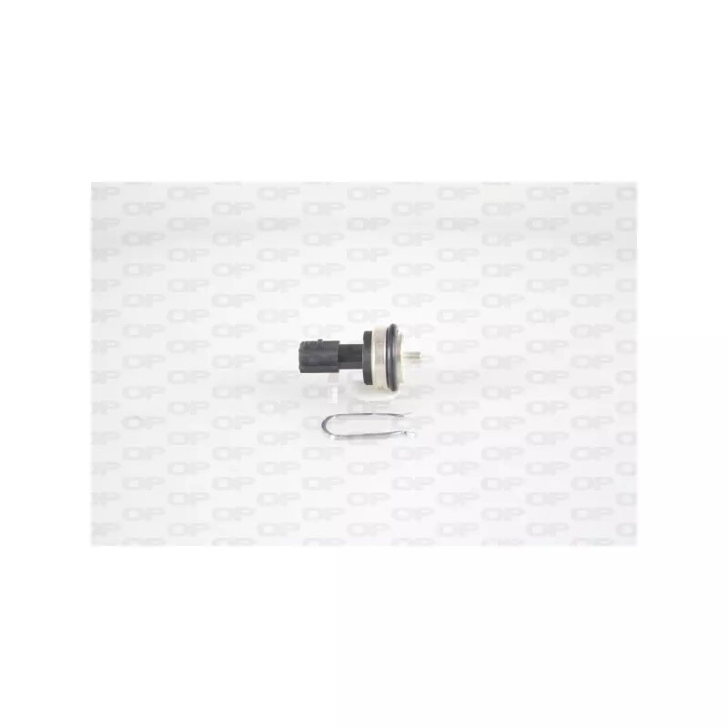 Sonde, température du liquide de refroidissement OPEN PARTS ECT1024.00