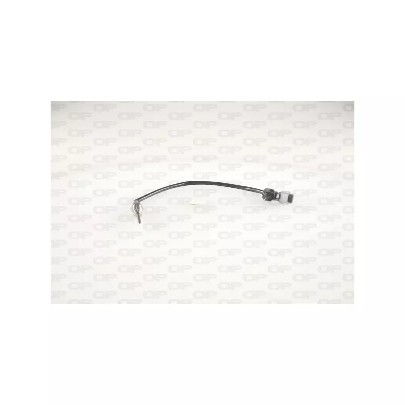 Capteur, température des gaz OPEN PARTS EGT1029.00