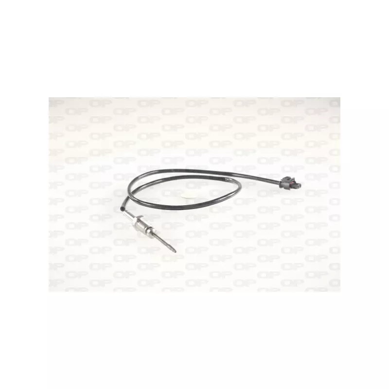 Capteur, température des gaz OPEN PARTS EGT1061.00