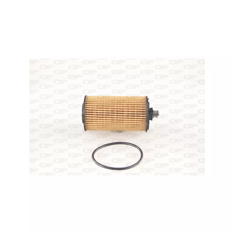 Filtre à huile OPEN PARTS EOF4282.10