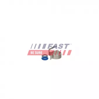 Kit de réparation, unité pompe-injecteur FAST FT01833