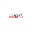 Kit de réparation, unité pompe-injecteur FAST FT01834 - Visuel 2