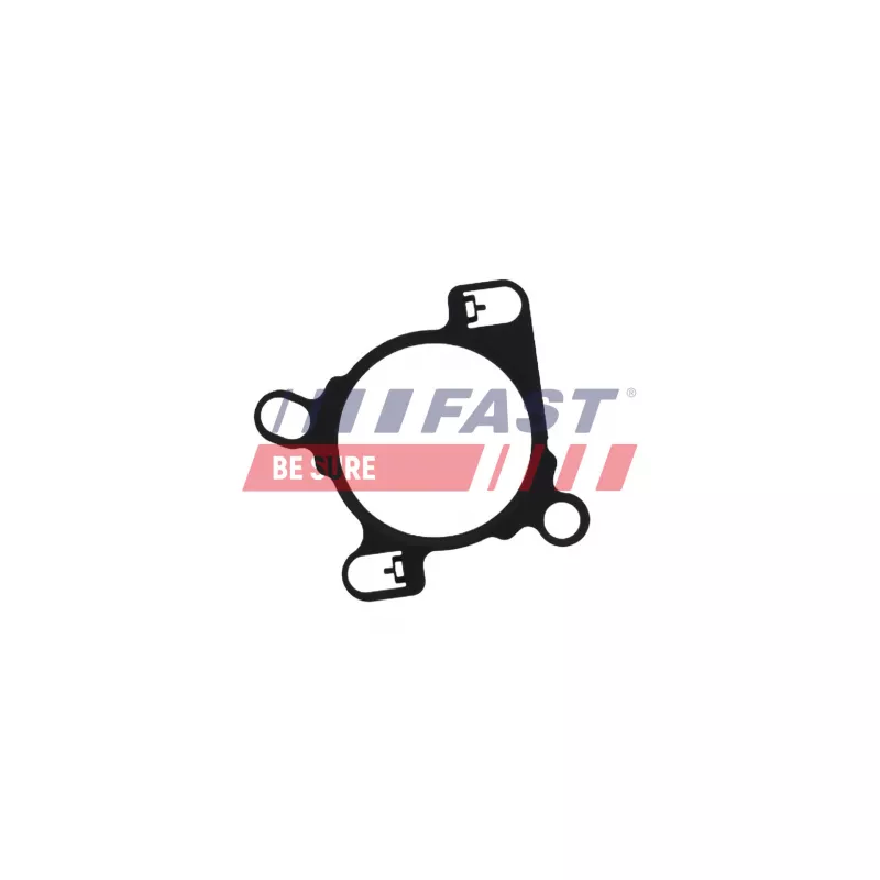 Joint, vanne EGR FAST FT12469