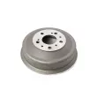 Tambour de frein Dr!ve+ DP1010.11.1689 - Visuel 1