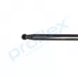 Vérin de hayon, de coffre PROFLEX PX2-0439 - Visuel 2