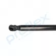 Vérin de hayon, de coffre PROFLEX PX2-0552 - Visuel 2