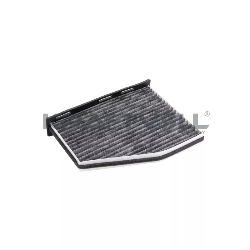 Filtre, air de l'habitacle KRAFTVOLL GERMANY 06040044