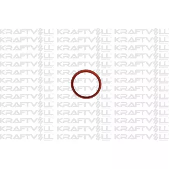 Bague d'étanchéité, gaine de suralimentation KRAFTVOLL GERMANY