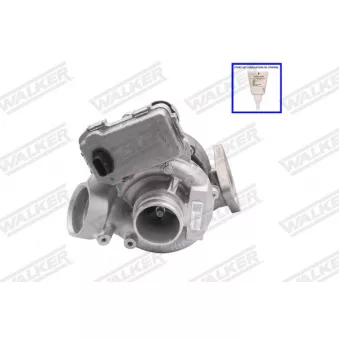 Turbocompresseur, suralimentation WALKER
